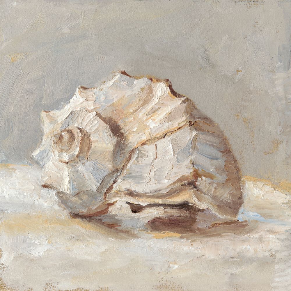 Impressionist Shell Study II