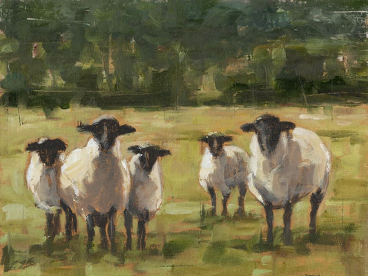 Sheep Family I