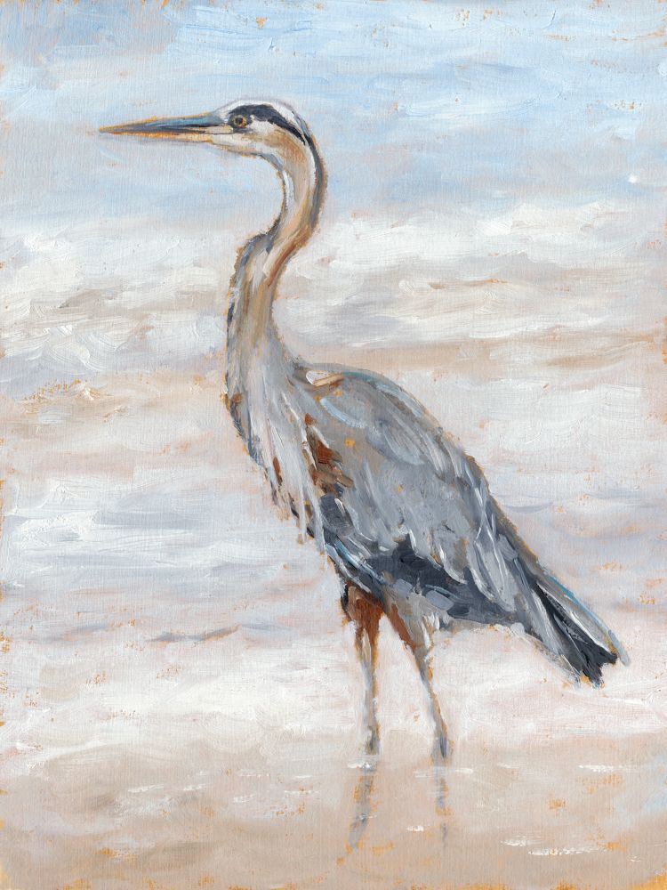 Beach Heron II