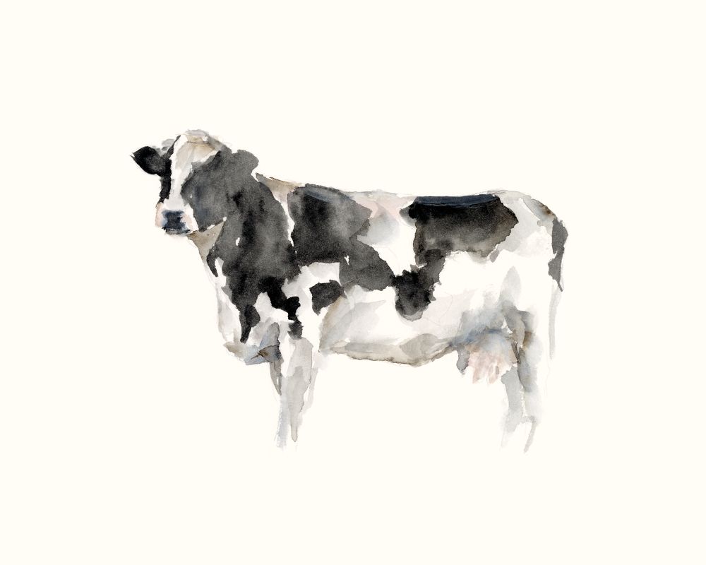 Farm Animal Study III