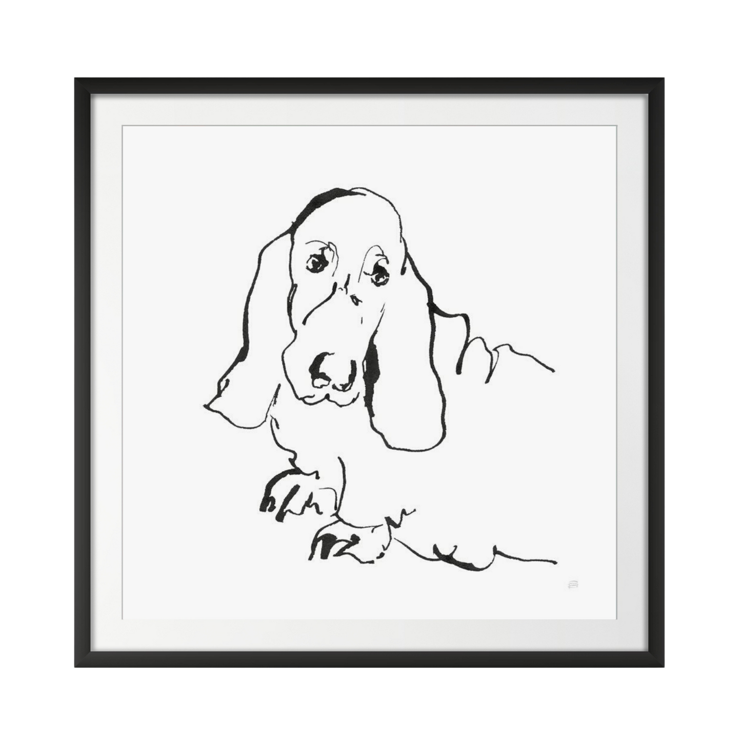 Line Dog Basset Hound