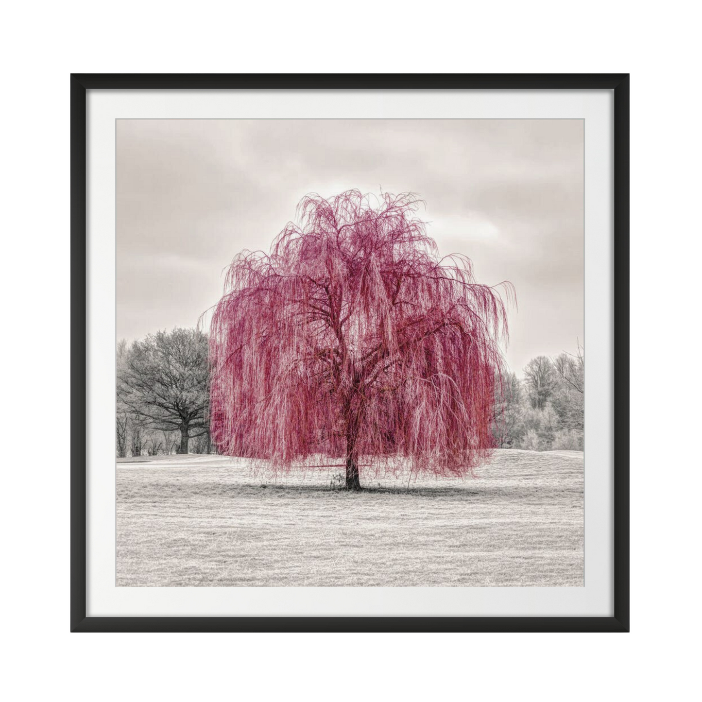 Red Tree, Cream Background