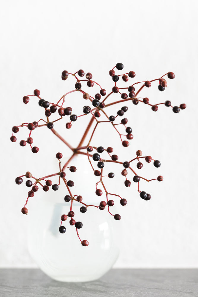 Vase_berries