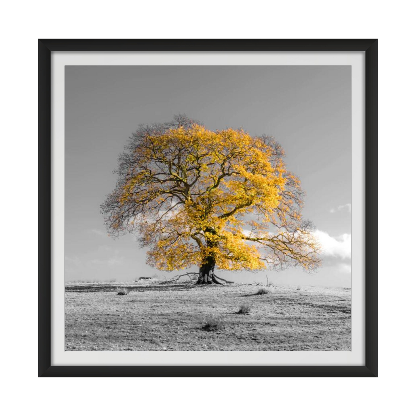 Tree on a hill, yellow, gold