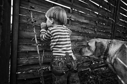 The world from behind the fence