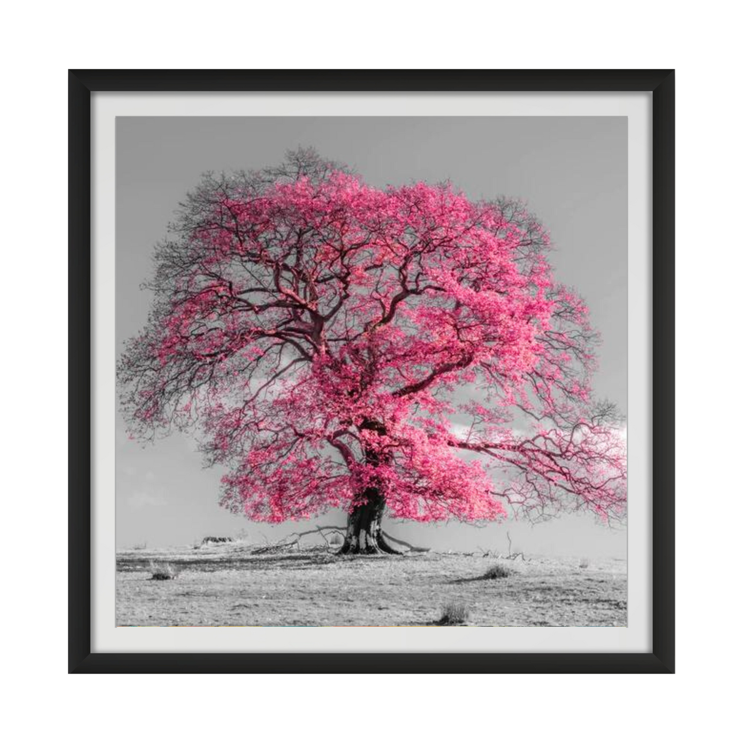 Tree on a hill, pink