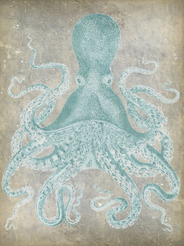 Spa Octopus I