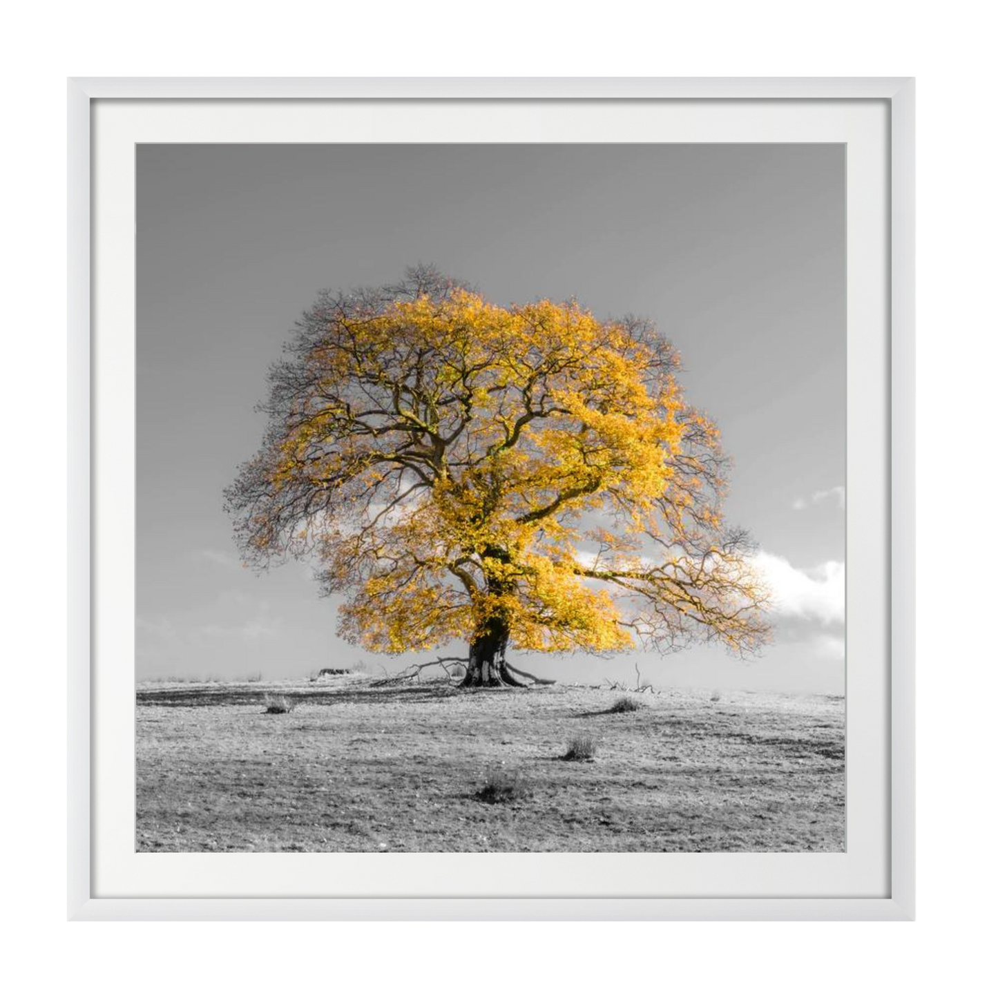 Tree on a hill, yellow, gold