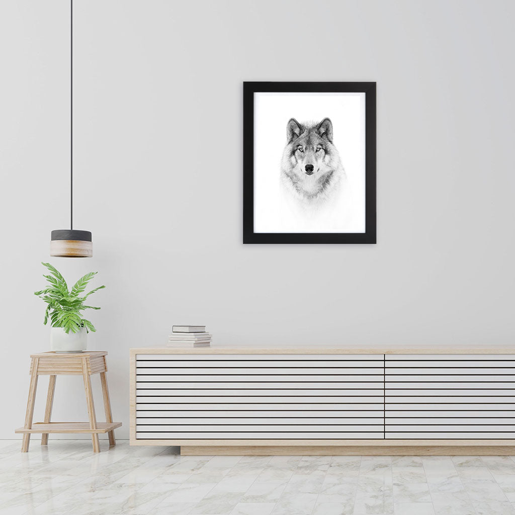 Portrait of a Timber Wolf